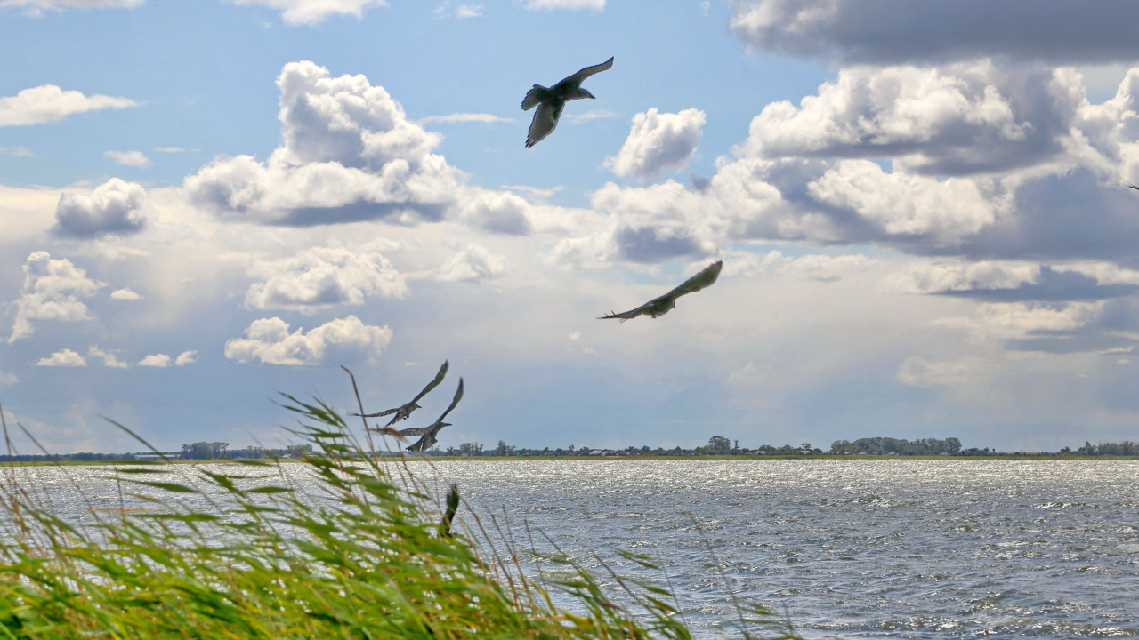 Pestschanoje-See, Region Altai. Fotoarbeit von Jakob Grinemaer